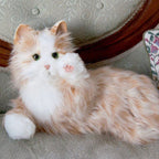 COMPANION PET CAT
