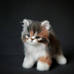COMPANION PET CAT